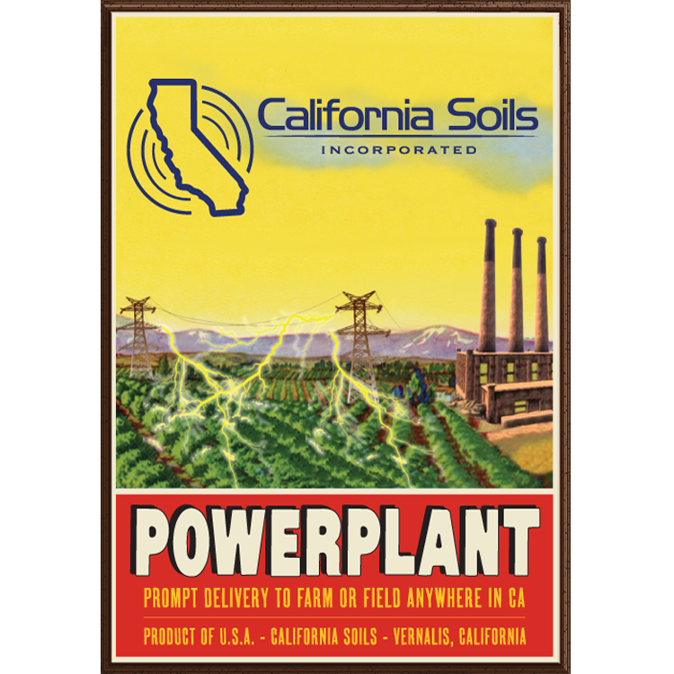 Power Plant Bulk Soil
